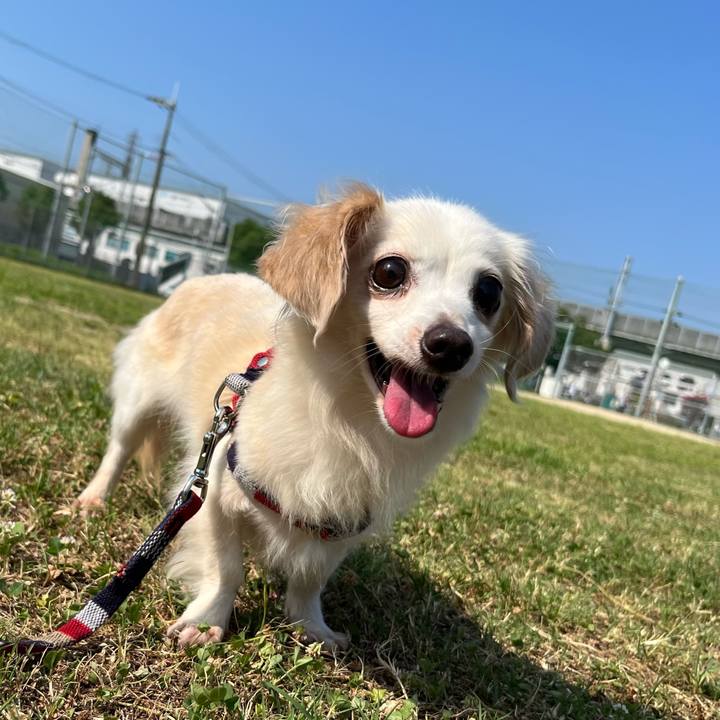 0f26741c dc5f 49e1 ba12 9d1c6be23e2f 1694672979518