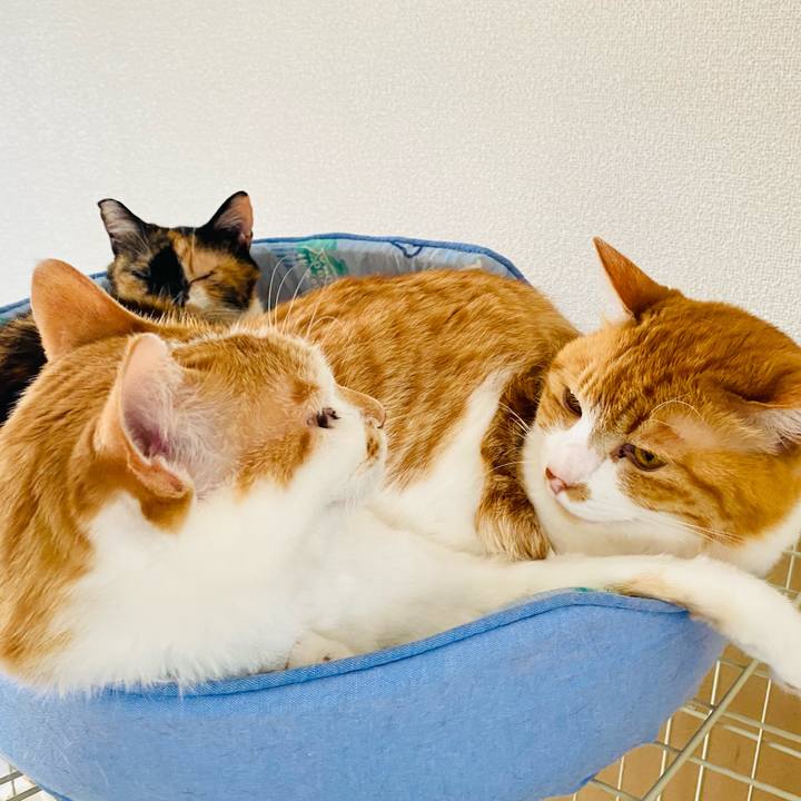 0f26a2f0 3da1 49b8 8667 4a653a92c9c6 1683194848637