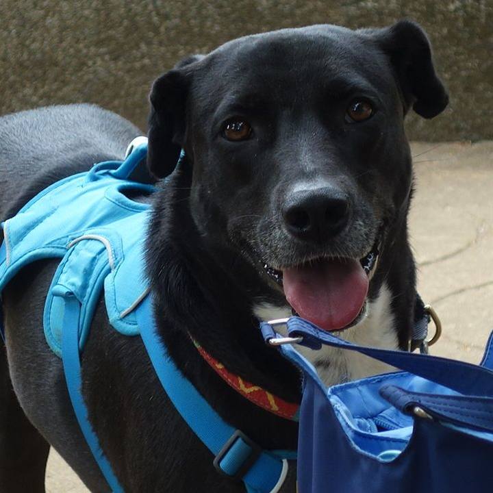 0f26f5da d82c 4403 9dd7 2e9d6670c7d2 1620782005498