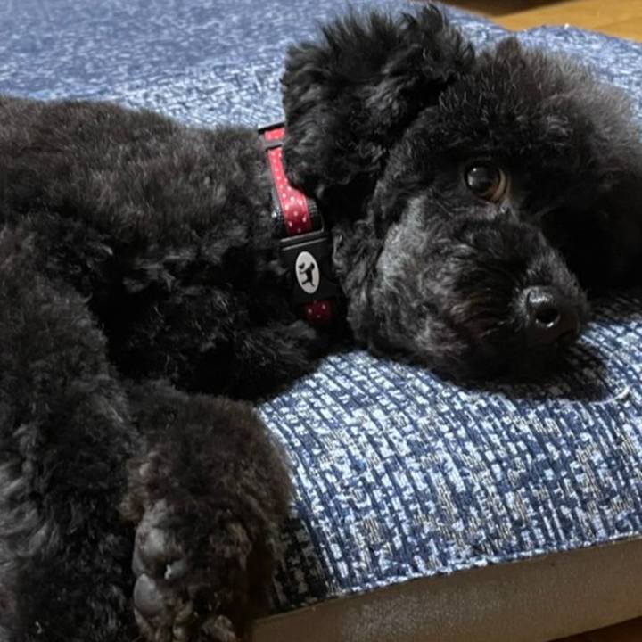 0f273ade b2d2 4c1f 9e64 a99de5a4ab82 1631954363614