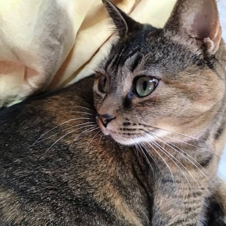 0f274bbb af8b 44a3 a65e 9059594bae61 1735200947114