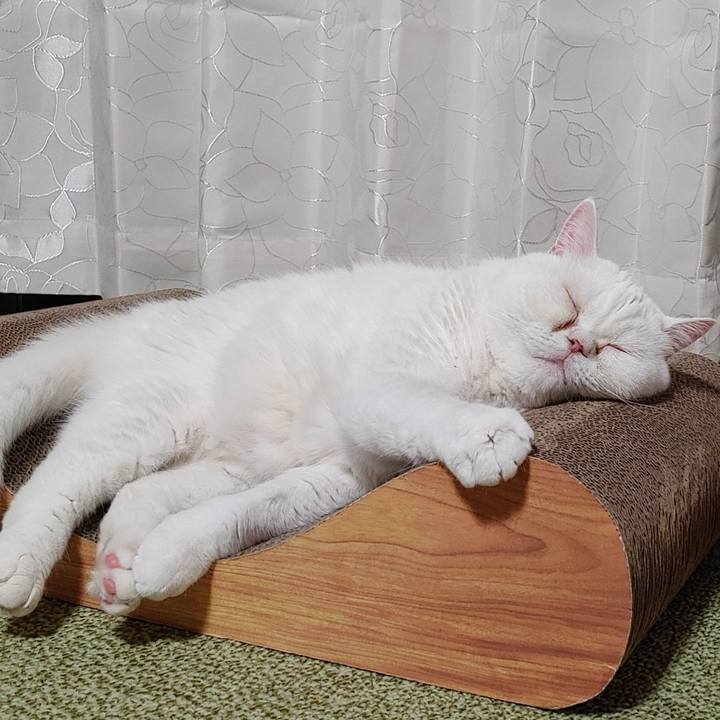 0f275599 7544 45db b7f4 e766c1389e47 1627123438006