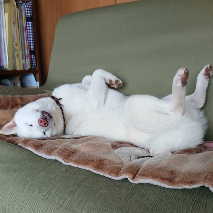 0f27876e f120 44bb 90a4 8aa220a40467 1507780674791