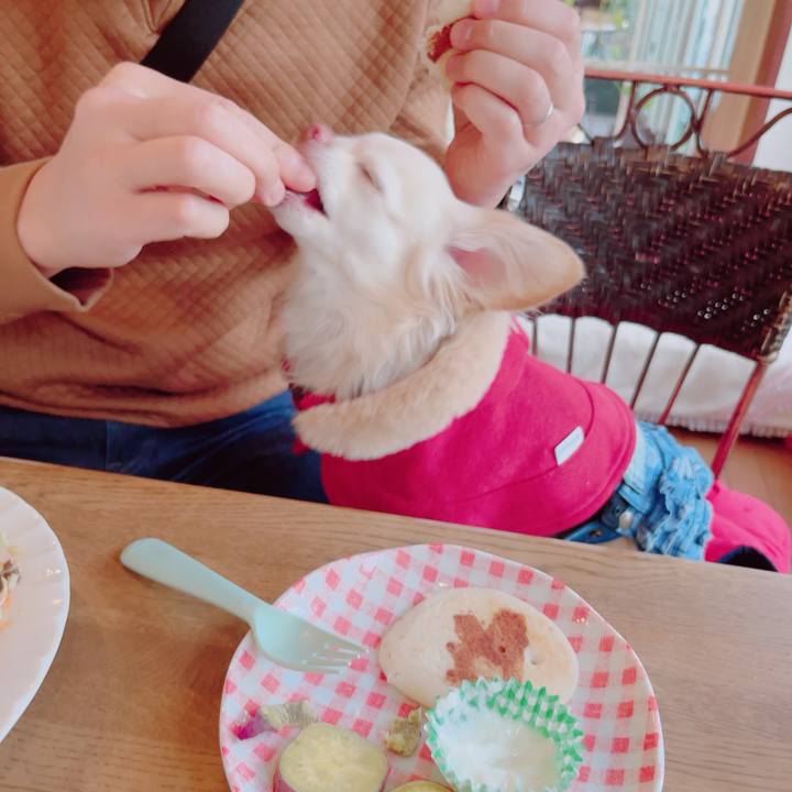 0f279e4f bc5a 4b0b 8b43 c55f9c32362e 1702819691174