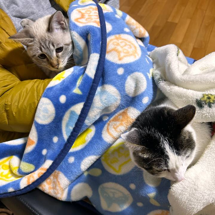 0f27bfe6 f2f9 4843 872f d2b137a8469c 1733786086365