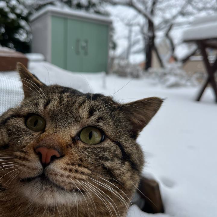 0f27c572 4b7f 45d8 8510 2663d52d00c2 1745961998637