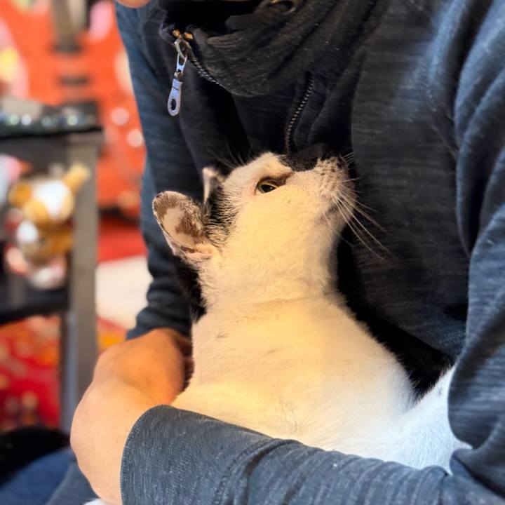 0f27c89b f373 4a77 910c eae481f51d85 1773404738225