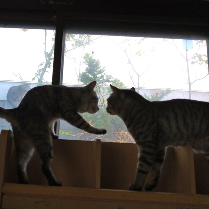 0f27ca83 f8f0 4a8a 9967 e0942e29559a 1631681074084