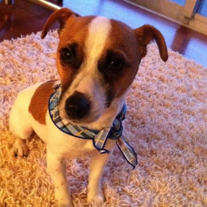 0f28487a c8f2 4831 98be 20379d126daf 1709691838708