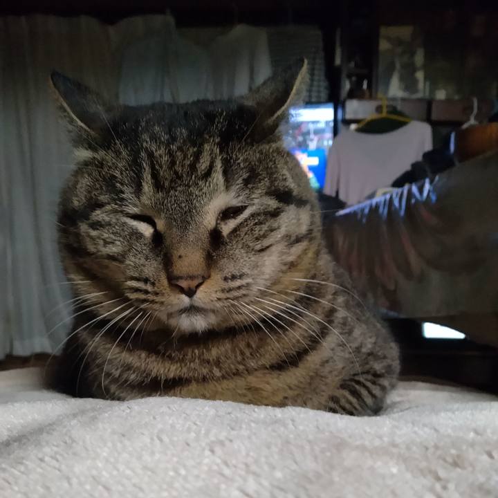 0f288b00 5bf7 473b 999e 3741b526a8fb 1709242737743