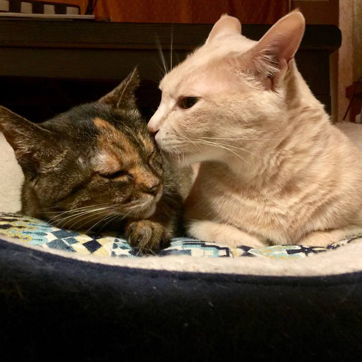 0f28a28e 31a6 40fd 812e 80f09b4ae8d1 1594907294946