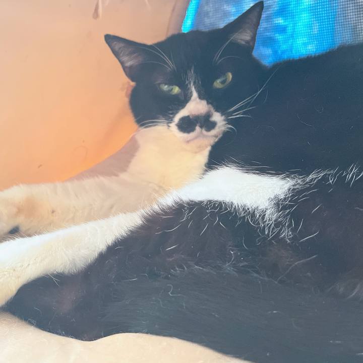 0f28a822 79c0 47c4 a2c3 199b5a31167a 1684925143546