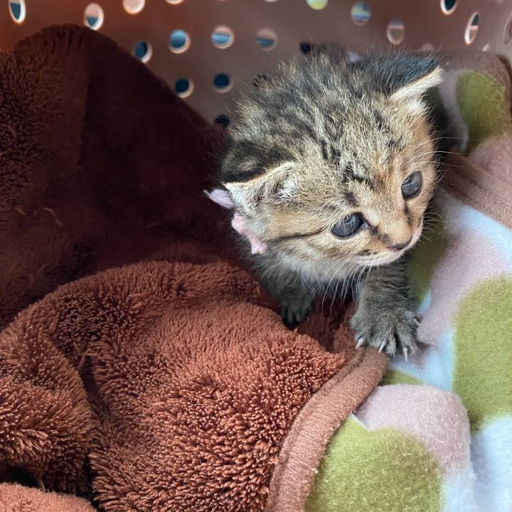 0f28bdc6 4fcc 4bec ad02 508af241ba0f 1636183404091