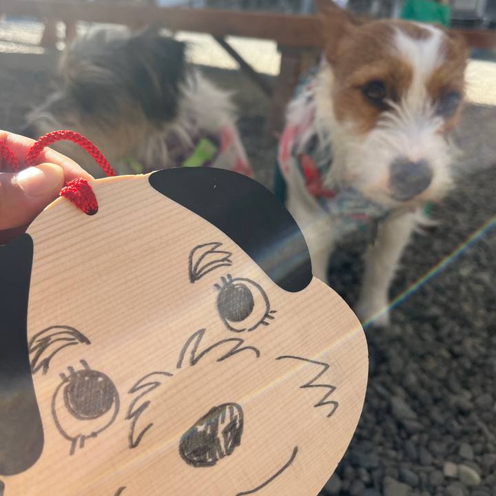 0f292fff 9381 4753 8281 ae853a1f7955 1769174577602