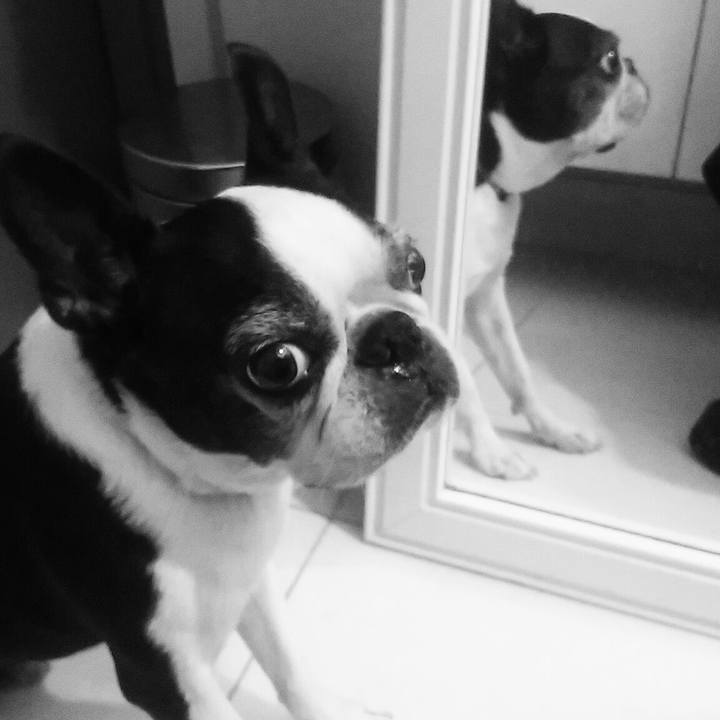 0f294dde 1ee8 4087 a335 1d91625cb7a6 1536808790755