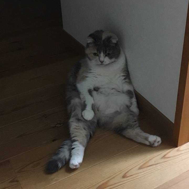 0f298042 3d8b 4bd4 ae55 5f3c176df13c 1540362584219