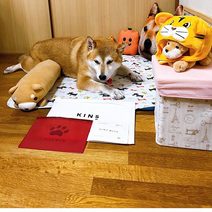 0f29a0af ff1f 44bd 80d0 1cd084046d04 1663143191500