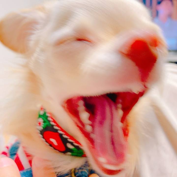 0f29c7bc 9d6e 4a13 8064 6f36e4c02381 1628232822531