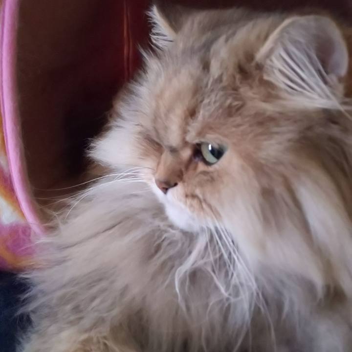 0f29d255 aaf4 4f53 92c6 dd9f38e793ba 1610328282534