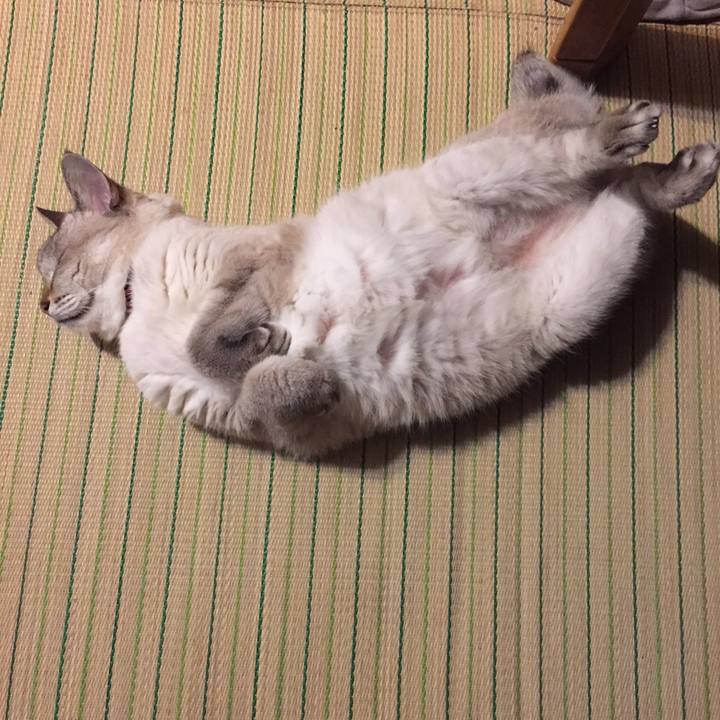 0f29e7b2 46c5 465c 818d 376de7565948 1538133836448