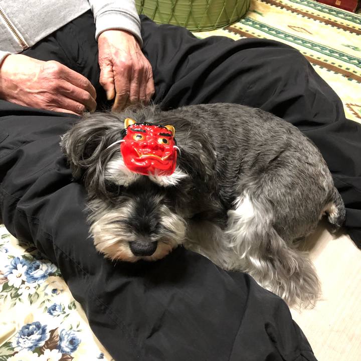 0f2a0eca 17d0 427f 8568 8f7d0e119202 1643888955011