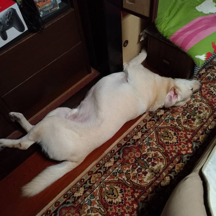 0f2a20a7 0b18 4253 b853 4681d4dc58bf 1597765727077