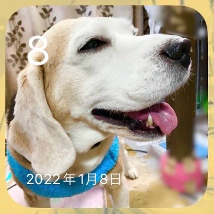 0f2a280d d3f9 4aa1 8bb0 f27c83fee502 1704672881928