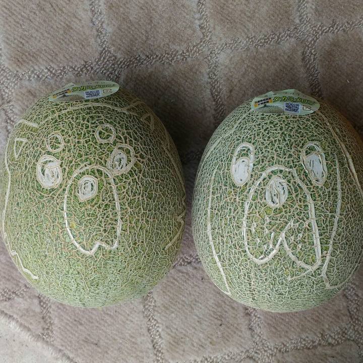 0f2a5340 0944 4e5f 80bb 02bb25858a81 1562569434729