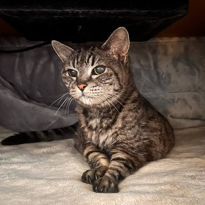 0f2a61ce f0d0 4bb1 b5a7 ff15420f1883 1765194418336