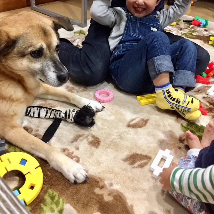 0f2a640a 7073 486f 8301 be4e2c7fa695 1553437450067