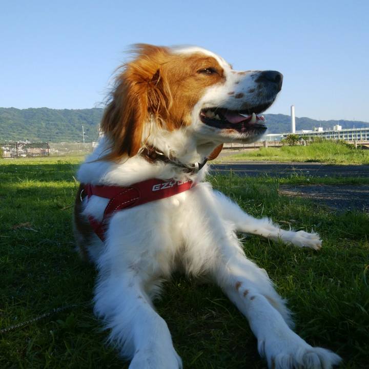 0f2a668e 4b38 41e0 b7fa 010fc3460804 1526992094506