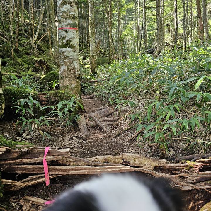 0f2a6c13 b3b4 4c87 aebf 8bc974f3ea43 1725686635117