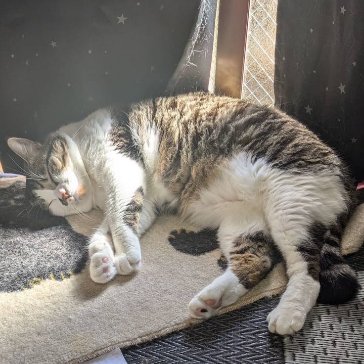 0f2ab5a8 42c1 4e2d 8cb7 1f45240d57d6 1728794638357