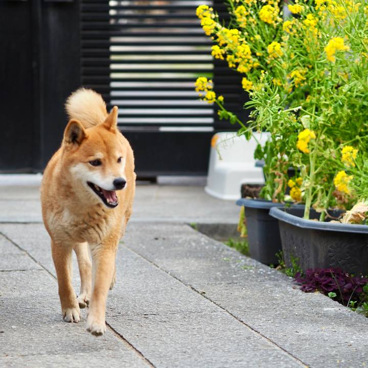 0f2abdba 75a2 47d3 84f0 9120cf80b842 1774738652020