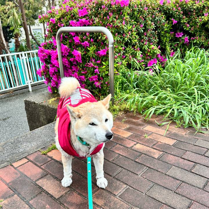 0f2ae9b8 5dfd 4e00 849c 21f494bf3815 1745393694211