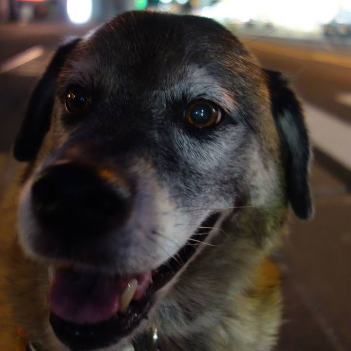 0f2aee60 1507 446a 91fc 6a7a51867349 1534674627109