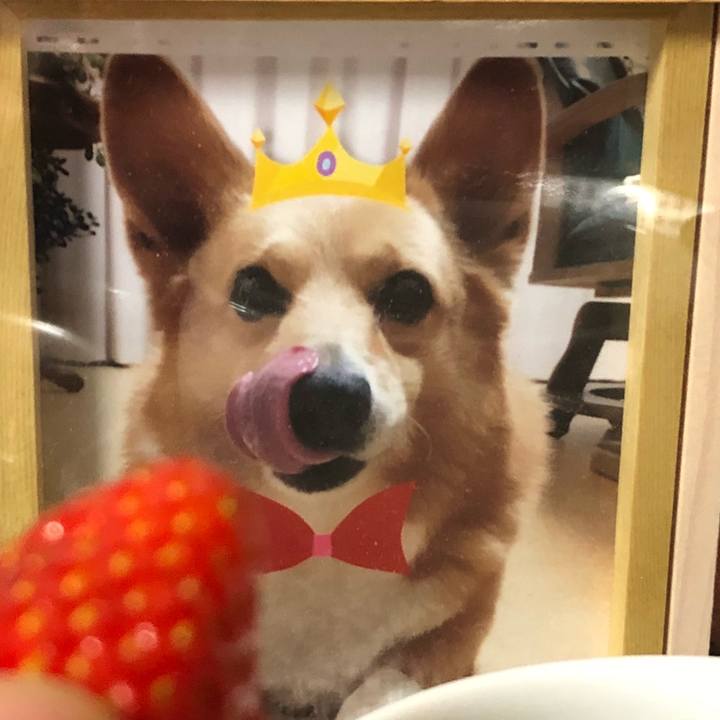 0f2af62d f1eb 4350 9520 7c6083936a5d 1523355022824