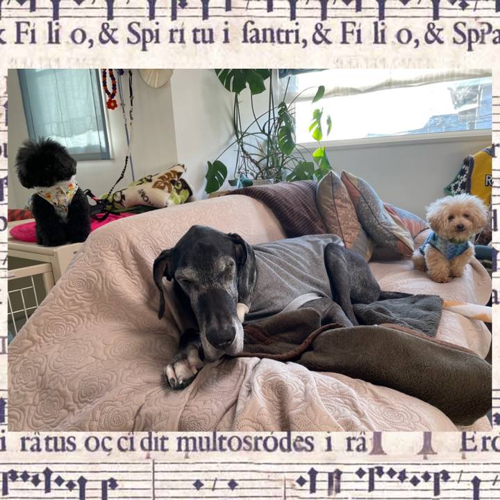 0f2afcb2 a959 4027 98c8 c678ff8feb1e 1638224929833