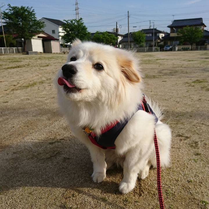 0f2b05f2 c4b7 444d b31c bdbdcb768613 1527284656567