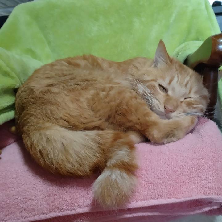 0f2b0ab9 51b2 4507 9a59 b6aac0674284 1669425939065