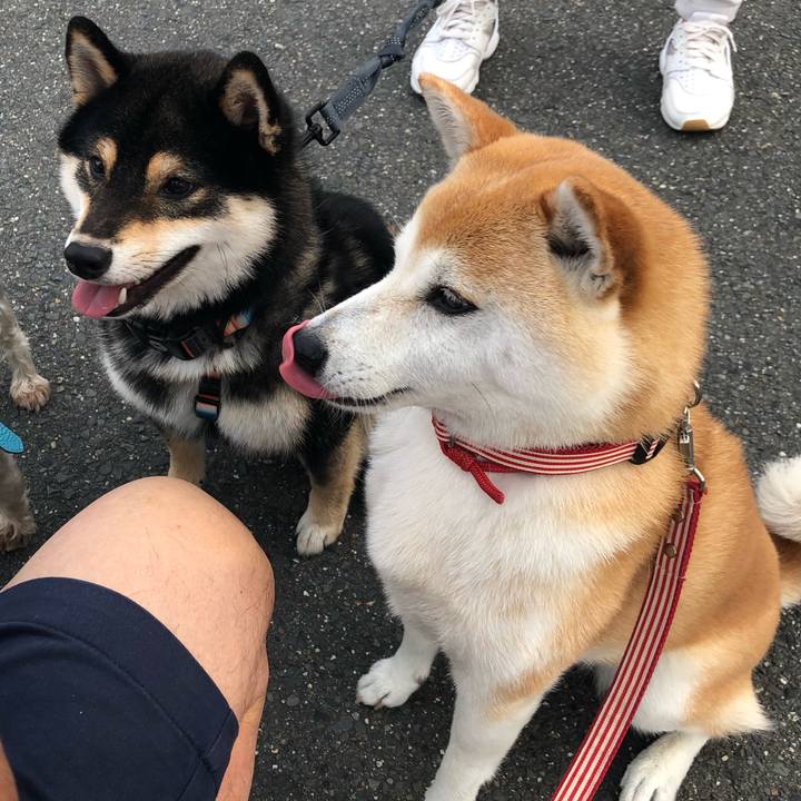 0f2b22cf 7037 45db a576 ca17899bb716 1654859622458