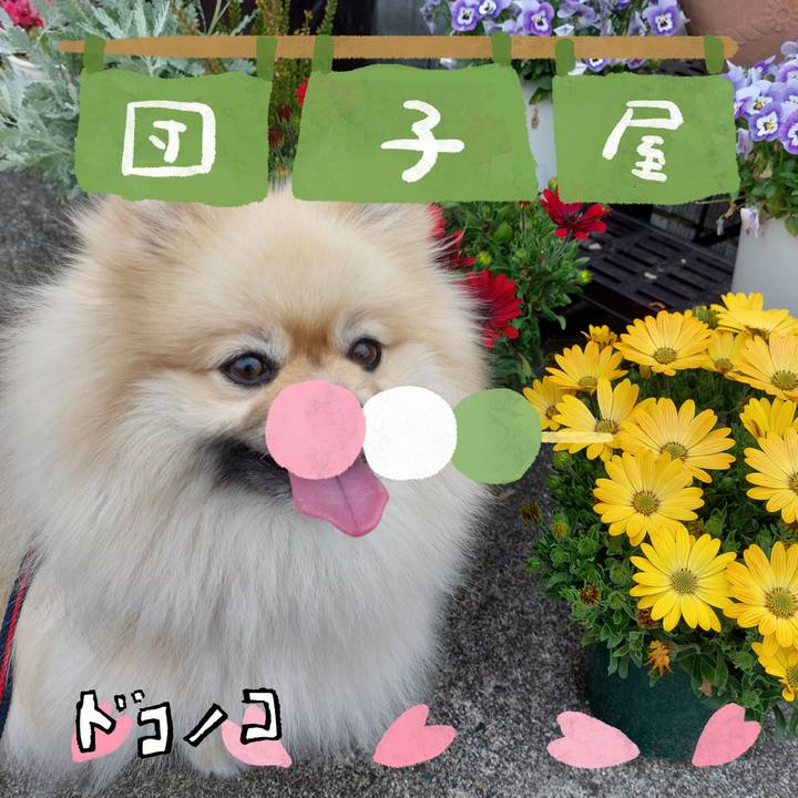 0f2b466d 440e 4e04 b258 4b1375993ee4 1712236947653