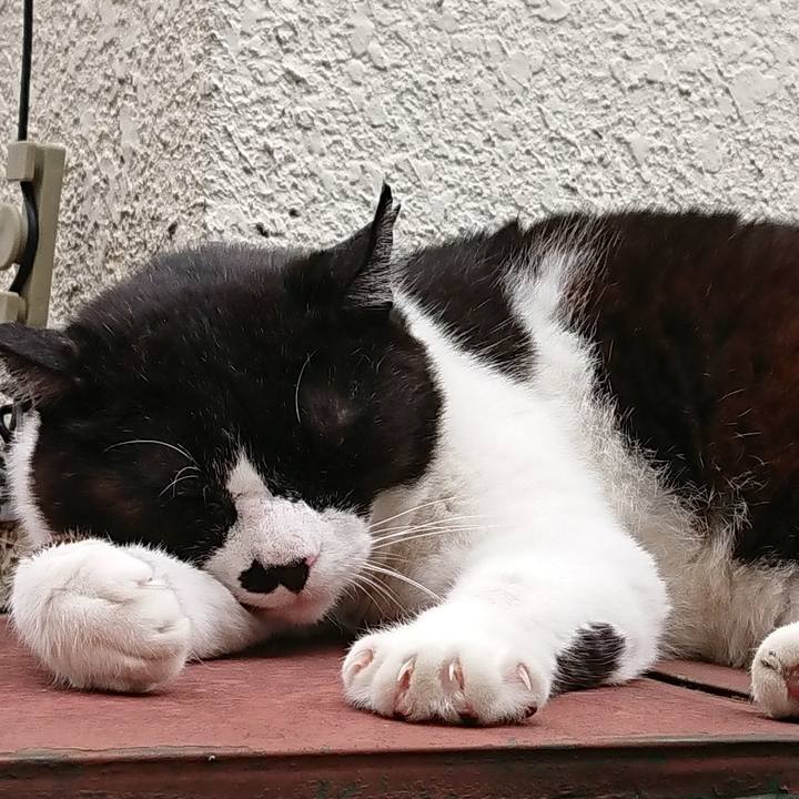 0f2b47cb 948c 4577 b3c1 7fd07ab16916 1563187048941