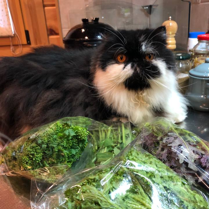 0f2b658f b4c9 4a89 8ea3 0fb6eb531d6a 1550804043232