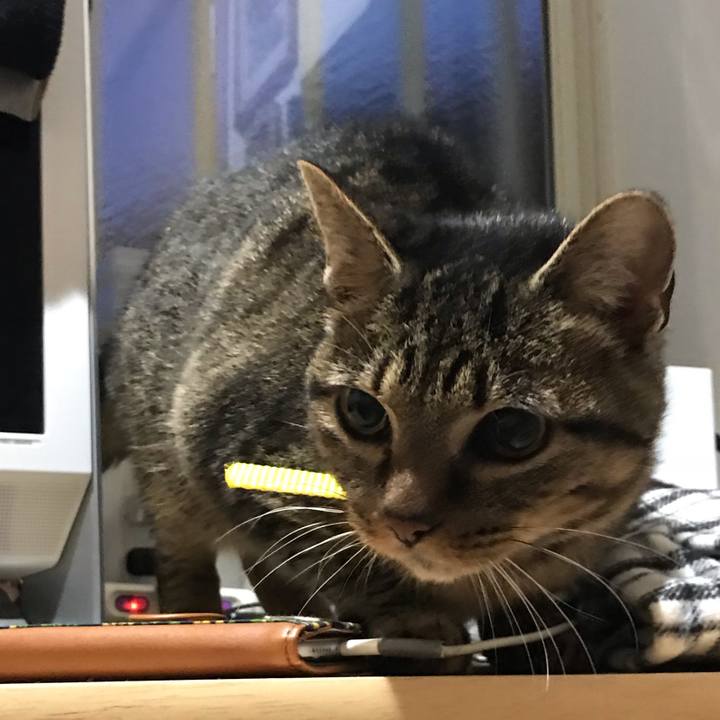 0f2ba0be b065 4de7 9ced fa56e8d5919c 1542921950703