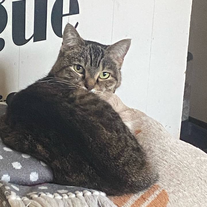 0f2c2396 dc1c 449f 86a1 ac5f2b647a5e 1772323306503