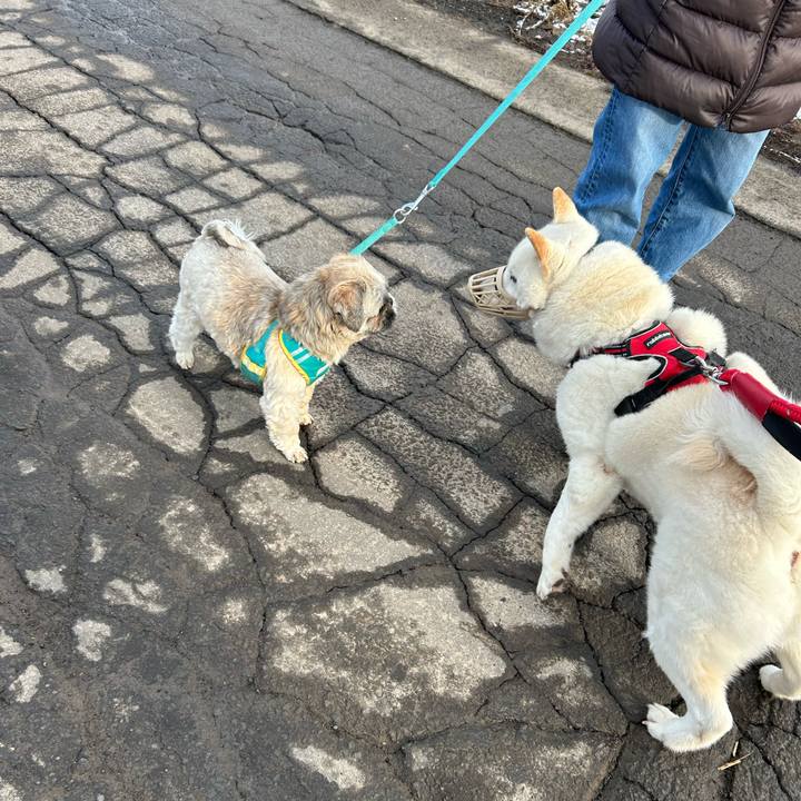 0f2c65f2 7cbb 4cbc b0d0 f1dcda7068aa 1712096786772