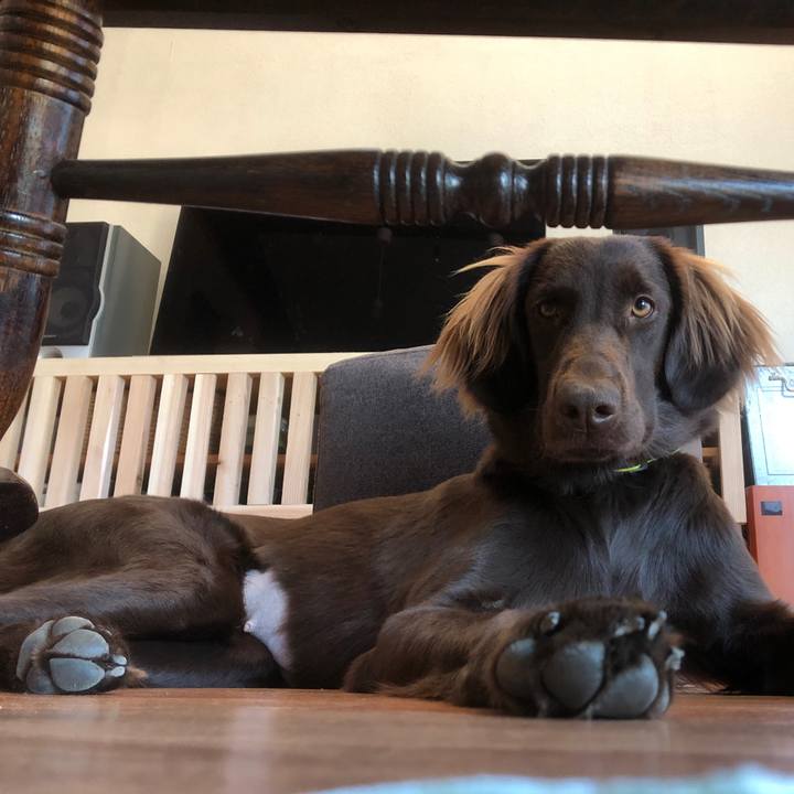 0f2c80f4 ff83 4765 805a f38fe06bc780 1580435578173