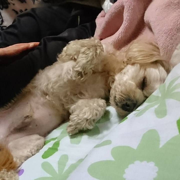 0f2c8227 f267 4ef7 b481 940a3fd20f03 1557144578673