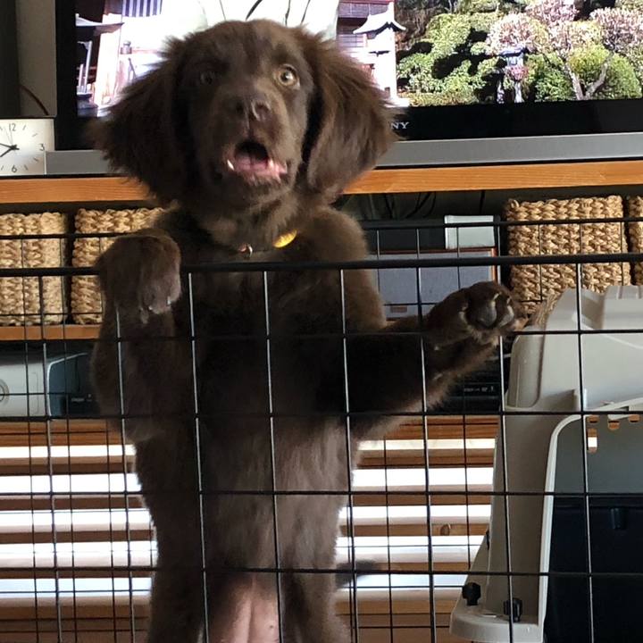 0f2cb81a 7178 4cc2 8571 0633a89edb6a 1552863218959